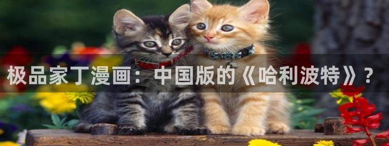 漫蛙2(官网入口)：极品家丁漫画：中国版的《哈利波特》？