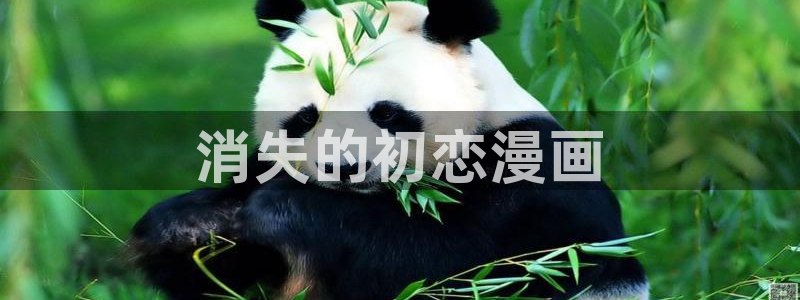 漫蛙动漫(网页入口)：消失的初恋漫画