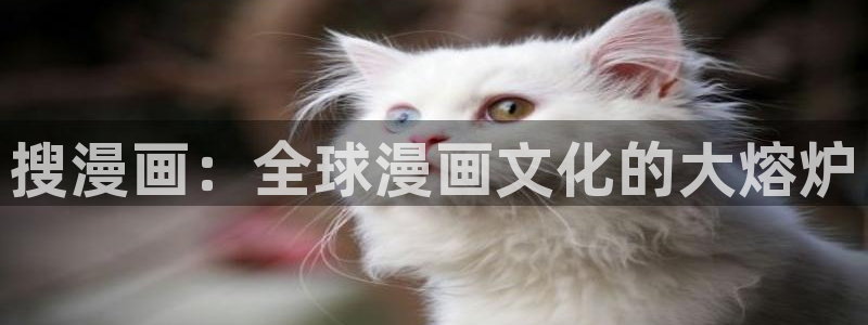漫蛙国际版：搜漫画：全球漫画文化的大熔炉