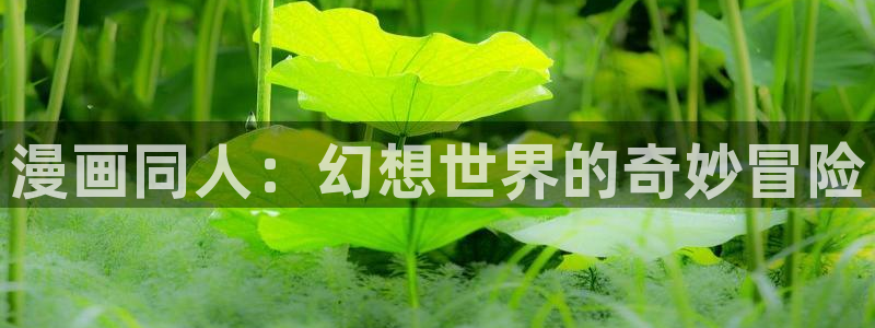 www.漫蛙.com：漫画同人：幻想世界的奇妙冒险