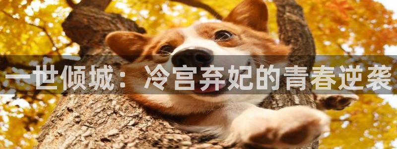 漫蛙漫画在线网页版：一世倾城：冷宫弃妃的青春逆袭