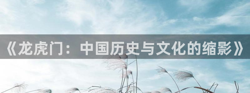 负面恋情在漫蛙上叫什么：《龙虎门：中国历史与文化的缩影》