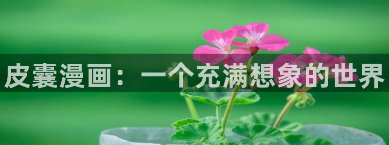 纽约城漫蛙漫画下拉式：皮囊漫画：一个充满想象的世界